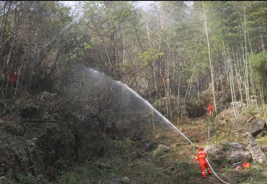 湖北省林業局湖北省林業局森林防火巡護系統建設項目